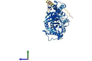 Protein Structure (PS) image for GNAS Complex Locus (GNAS) (AA 1-394) protein (His tag) (ABIN7556644)
