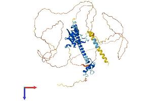 DEAF1 Protein (AA 1-565) (His tag)