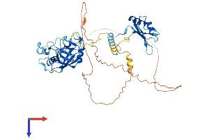 PPIL4 Protein (AA 1-492) (His tag)