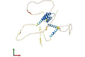 Protein Structure (PS) image for Mohawk Homeobox (MKX) (AA 1-352) protein (His tag) (ABIN7549451)