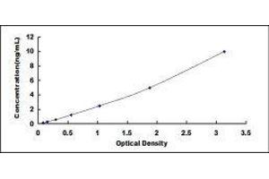 ELISA image for C-Ros Oncogene 1 , Receptor tyrosine Kinase (ROS1) ELISA Kit (ABIN419921) (ROS1 ELISA Kit)