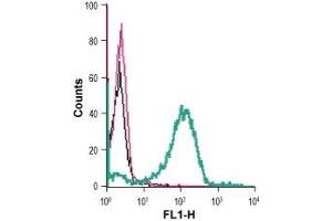 Cell surface detection of FFAR2 in live intact human THP-1 monocytic leukemia cells: (black line) Cells. (FFAR2 Antikörper  (Extracellular))