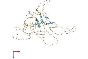 FBXO34 Protein (AA 1-711) (His tag)