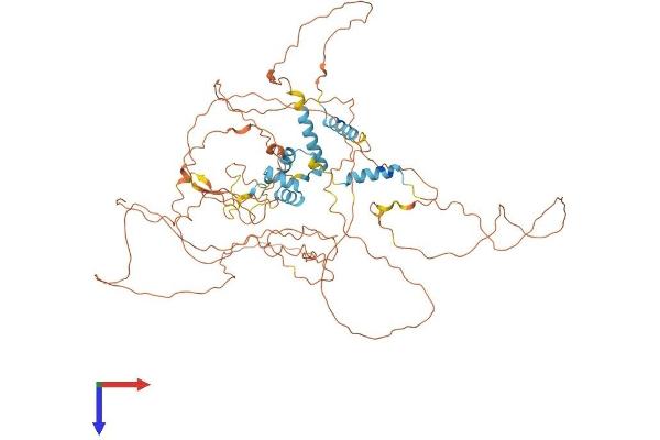 FBXO34 Protein (AA 1-711) (His tag)