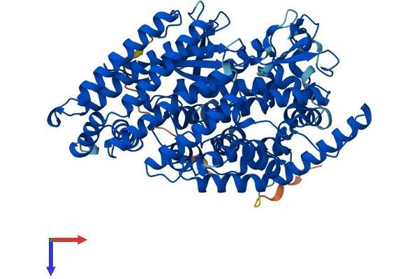 Thimet Oligopeptidase 1 Protein (THOP1) (AA 1-689) (His tag)