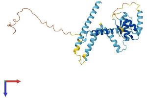 RNF170 Protein (AA 1-286) (His tag)