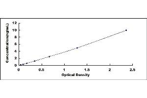 Typical standard curve (PEDF ELISA Kit)