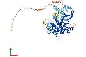 Protein Structure (PS) image for Mitogen-Activated Protein Kinase Kinase 3 (MAP2K3) (AA 1-347) protein (His tag) (ABIN7549527)