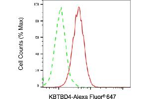 Flow cytometric analysis of KBTBD4 expression in HAP-1 cells using KBTBD4 antibody (ABIN7799160), 1:2,000). (KBTBD4 Antikörper)