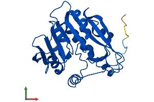 Protein Structure (PS) image for Thiopurine S-Methyltransferase (TPMT) (AA 1-240) protein (His tag) (ABIN7562473)