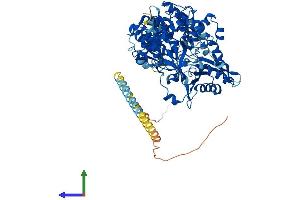 AlphaFold protein structure predicition of Mouse Recombinant Dhx15 Protein, UniprotID O35286