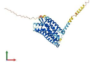 Protein Structure (PS) image for Chemokine (C-C Motif) Receptor 8 (CCR8) (AA 1-353) protein (His tag) (ABIN7556480)