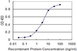 ELISA image for anti-RAD23 Homolog B (RAD23B) (AA 311-410) antibody (ABIN599426) (RAD23B Antikörper  (AA 311-410))