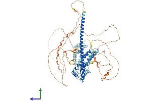 Protein Structure (PS) image for Toll-Like Receptor Adaptor Molecule 1 (TICAM1) (AA 1-732) protein (His tag) (ABIN7564258)