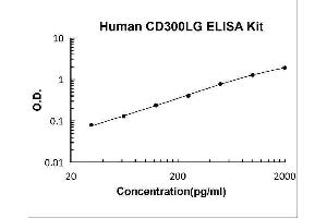 Triggering Receptor Expressed On Myeloid Cells 4 (TREM4) ELISA Kit
