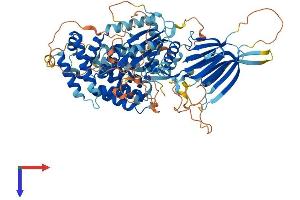 PIK3R6 Protein (AA 1-756) (His tag)