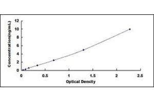 Typical standard curve (LMO7 ELISA Kit)