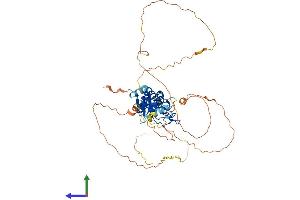 AlphaFold protein structure predicition of Human Recombinant SOWAHC Protein, UniprotID Q53LP3