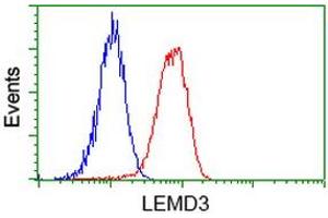 Flow cytometric Analysis of Hela cells, using anti-LEMD3 antibody (ABIN2453808), (Red), compared to a nonspecific negative control antibody, (Blue). (LEMD3 Antikörper)