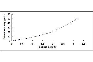 Typical standard curve (IFI44 ELISA Kit)