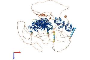 CLASP2 Protein (AA 1-1286) (His tag)