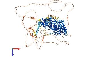 STARD8 Protein (AA 1-1019) (His tag)