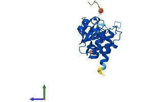 Protein Structure (PS) image for Dual Specificity Phosphatase 26 (DUSP26) (AA 1-211) protein (His tag) (ABIN7561061)