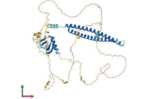 AlphaFold protein structure predicition of Human Recombinant PALMD Protein, UniprotID Q9NP74
