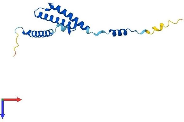 C1D Protein (AA 1-141) (His tag)