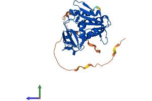 Protein Structure (PS) image for Ribose 5-Phosphate Isomerase A (RPIA) (AA 1-311) protein (His tag) (ABIN7551556)