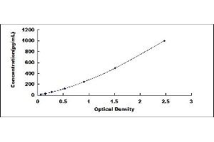 Preprovasopressin ELISA Kit