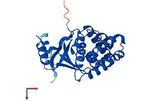 OTUB2 Protein (AA 1-234) (His tag)