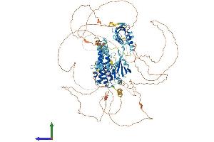 Protein Structure (PS) image for Ribosomal Protein S6 Kinase, 52kDa, Polypeptide 1 (RPS6KC1) (AA 1-1056) protein (His tag) (ABIN7564389)
