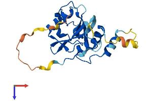 JOSD1 Protein (AA 1-202) (His tag)