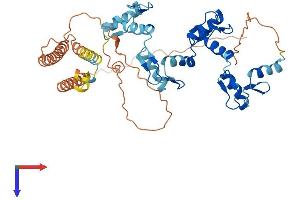 ZNF3 Protein (AA 1-446) (His tag)
