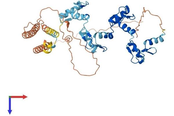 ZNF3 Protein (AA 1-446) (His tag)