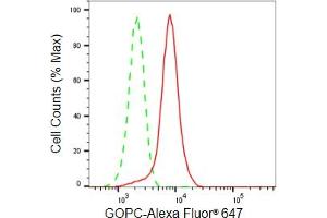 Flow cytometric analysis of GOPC expression in HeLa cells using GOPC antibody (ABIN7798796), 1:2,000).