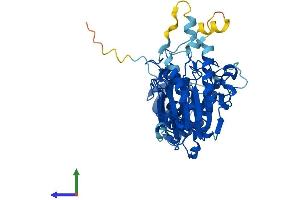 Protein Structure (PS) image for Polymerase (DNA Directed), delta 2, Accessory Subunit (POLD2) (AA 1-469) protein (His tag) (ABIN7562353)