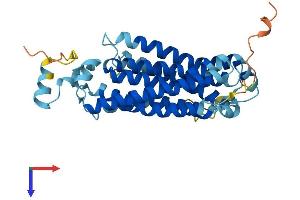 OST alpha Protein (AA 1-340) (His tag)
