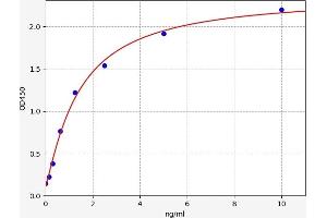 IFIT1 ELISA Kit