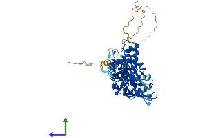 AlphaFold protein structure predicition of Human Recombinant UCKL1 Protein, UniprotID Q9NWZ5