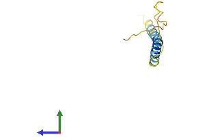 AlphaFold protein structure predicition of Human Recombinant ADIG Protein, UniprotID Q0VDE8