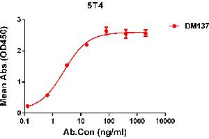 ELISA plate pre-coated by 1 μg/mL (100 μL/well) Human 5T4 protein, His tagged protein ((ABIN6964086, ABIN7042427 and ABIN7042428)) can bind Rabbit anti-5T4 monoclonal antibody(clone: DM137) in a linear range of 0. (TPBG Antikörper  (AA 32-355))