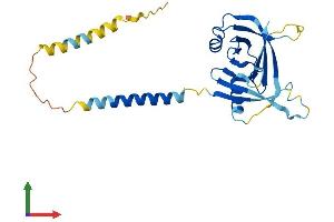 Protein Structure (PS) image for Integral Membrane Protein 2A (ITM2A) (AA 1-263) protein (His tag) (ABIN7557712)