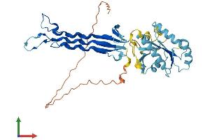 Protein Structure (PS) image for GTP Binding Protein 5 (GTPBP5) (AA 1-406) protein (His tag) (ABIN7549599)