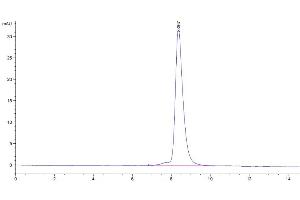 Size-exclusion chromatography-High Pressure Liquid Chromatography (SEC-HPLC) image for Guanylate Cyclase 2C (Heat Stable Enterotoxin Receptor) (GUCY2C) (AA 24-430) protein (His-Avi Tag,Biotin) (ABIN7274717)