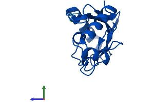 Protein Structure (PS) image for Ubiquitin-Conjugating Enzyme E2D 3 (UBE2D3) (AA 1-147) protein (His tag) (ABIN7555893)