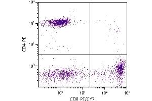 Human peripheral blood lymphocytes were stained with Mouse Anti-Human CD8-PE/CY7. (CD8 Antikörper  (PE-Cy7))