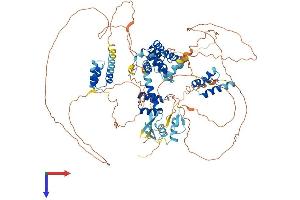 ZHX1 Protein (AA 1-873) (His tag)