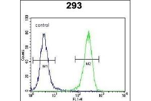 AQP11 Antibody (C-term) (ABIN651990 and ABIN2840484) flow cytometric analysis of 293 cells (right histogram) compared to a negative control cell (left histogram). (AQP11 Antikörper  (C-Term))